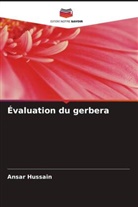 Ansar Hussain - Évaluation du gerbera