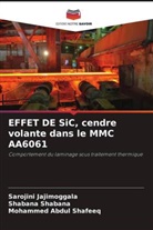 Sarojini Jajimoggala, Shabana Shabana, Mohammed Abdul Shafeeq - EFFET DE SiC, cendre volante dans le MMC AA6061
