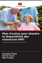 Garcia Casas, Diaz Crespo, González Piloto - Plan d'action pour étendre la disponibilité des ressources MNT