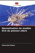 Saravana Kumar - Normalisation du modèle ECG du poisson zèbre