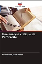 Nizeimana John Bosco - Une analyse critique de l'efficacité