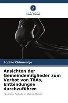 Sophie Chimwenje - Ansichten der Gemeindemitglieder zum Verbot von TBAs, Entbindungen durchzuführen