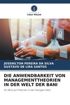 Gusta de Lira Santos, Gustavo de Lira Santos, Josenilton Pereira da Silva - DIE ANWENDBARKEIT VON MANAGEMENTTHEORIEN IN DER WELT DER BANI