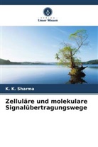 Ritu Gupta, K K Sharma, K. K. Sharma - Zelluläre und molekulare Signalübertragungswege