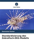 Saravana Kumar - Standardisierung des Zebrafisch-EKG-Modells