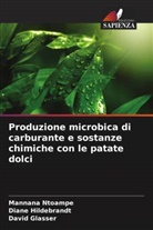 David Glasser, Diane Hildebrandt, Mannana Ntoampe - Produzione microbica di carburante e sostanze chimiche con le patate dolci