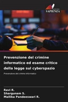 Mallika Pandeeswari R., Ravi R., Shargunam S. - Prevenzione del crimine informatico ed esame critico della legge sul cyberspazio