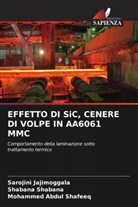 Sarojini Jajimoggala, Shabana Shabana, Mohammed Abdul Shafeeq - EFFETTO DI SiC, CENERE DI VOLPE IN AA6061 MMC
