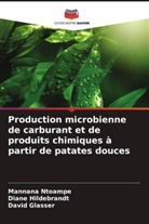 David Glasser, Diane Hildebrandt, Mannana Ntoampe - Production microbienne de carburant et de produits chimiques à partir de patates douces