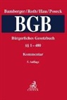Heinz Georg Bamberger, Heinz Georg Bamberger u a, Wolfgang Hau, Wolfgang Hau u a, Roman Poseck, Herbert Roth - Bürgerliches Gesetzbuch. Fortsetzungswerk: Bürgerliches Gesetzbuch Band 1: §§ 1-480