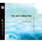 Louie Giglio, Ben Hunter - Air I Breathe: Worship as a Way of Life (Audio book)