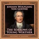 Johann Wolfgang von Goethe, Don Hagen - The Sorrows Young Werther Lib/E (Hörbuch)