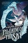 Natania Barron - Pilgrim of the Sky