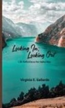 Virginia Gallarde - Looking In, Looking Out