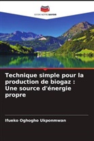 Ifueko Oghogho Ukponmwan - Technique simple pour la production de biogaz : Une source d'énergie propre