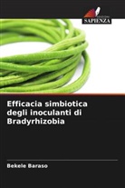 Bekele Baraso - Efficacia simbiotica degli inoculanti di Bradyrhizobia