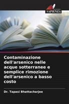 Tapasi Bhattacharjee - Contaminazione dell'arsenico nelle acque sotterranee e semplice rimozione dell'arsenico a basso costo
