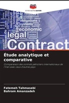 Bahram Amanzadeh, Fatemeh Tahmasebi - Étude analytique et comparative