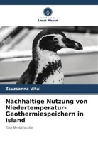 Zsuzsanna Vitai - Nachhaltige Nutzung von Niedertemperatur-Geothermiespeichern in Island