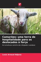 Louis Arnaud Ndjana - Camarões: uma terra de hospitalidade para os deslocados à força