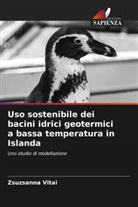Zsuzsanna Vitai - Uso sostenibile dei bacini idrici geotermici a bassa temperatura in Islanda