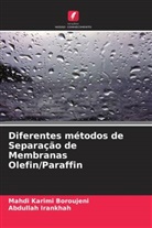 Abdullah Irankhah, Mahdi Karimi Boroujeni - Diferentes métodos de Separação de Membranas Olefin/Paraffin