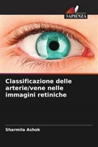 Sharmila Ashok - Classificazione delle arterie/vene nelle immagini retiniche