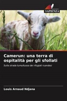 Louis Arnaud Ndjana - Camerun: una terra di ospitalità per gli sfollati