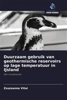 Zsuzsanna Vitai - Duurzaam gebruik van geothermische reservoirs op lage temperatuur in IJsland