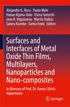Tamio Endo, Elvira Fantechi, Martin Kalbac, Satoru Kaneko, Hanae Kijima-Aoki, Hanae Kijima-Aoki et al... - Surfaces and Interfaces of Metal Oxide Thin Films, Multilayers, Nanoparticles and Nano-composites