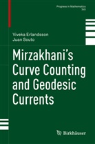 Viveka Erlandsson, Juan Souto, Hugo Parlier - Mirzakhani's Curve Counting and Geodesic Currents