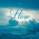 Flow, 1 Audio-CD (Audiolibro)