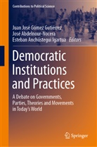 José Abdelnour-Nocera, Esteba Anchústegui Igartua, Esteban Anchústegui Igartua, Juan José Gómez Gutiérrez - Democratic Institutions and Practices