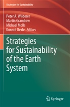 Martin Grambow, Michael Molls, Michael Molls et al, Konrad Oexle, Peter A. Wilderer - Strategies for Sustainability of the Earth System