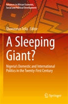 Oluwaseun Tella - A Sleeping Giant?
