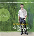 Peter Stamm, Sabine Arnhold, Tessa Mittelstaedt - In einer dunkelblauen Stunde, 1 Audio-CD, 1 MP3 (Hörbuch)