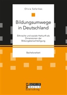 Olivia Safarikas - Bildungsumwege in Deutschland. Ethnische und soziale Herkunft als Dimensionen der Bildungsbenachteiligung