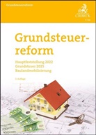 Dirk Eisele, Susanne Leissen - Grundsteuerreform