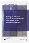 Bruno Mascello - Beiträge zu aktuellen Themen an der Schnittstelle zwischen Recht und Betriebswirtschaft VIII