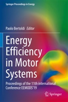 Paolo Bertoldi - Energy Efficiency in Motor Systems
