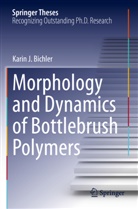 Karin J Bichler, Karin J. Bichler - Morphology and Dynamics of Bottlebrush Polymers