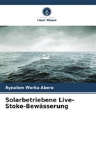 Aynalem Worku Abera - Solarbetriebene Live-Stoke-Bewässerung