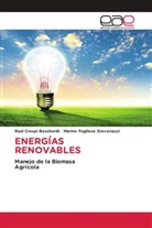 Raúl Crespi Bosshardt, Marino Pugliese Stevenazzi - ENERGÍAS RENOVABLES