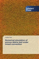 Joydip Paul - Numerical simulation of porous debris bed under mixed convection
