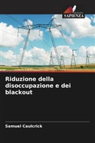 Samuel Caulcrick - Riduzione della disoccupazione e dei blackout
