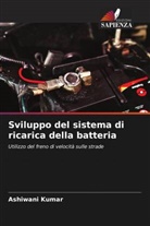 Ashiwani Kumar - Sviluppo del sistema di ricarica della batteria