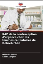 Mesfin Kebede, Ababi Zergaw - KAP de la contraception d'urgence chez les femmes célibataires de Debrebirhan
