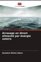 Aynalem Worku Abera - Arrosage en direct alimenté par énergie solaire