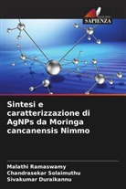 Sivakumar Duraikannu, Malathi Ramaswamy, Chandrasekar Solaimuthu - Sintesi e caratterizzazione di AgNPs da Moringa cancanensis Nimmo