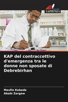 Mesfin Kebede, Ababi Zergaw - KAP del contraccettivo d'emergenza tra le donne non sposate di Debrebirhan